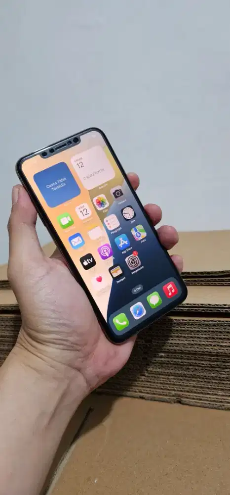 Iphone Xs max 256gb All Operator