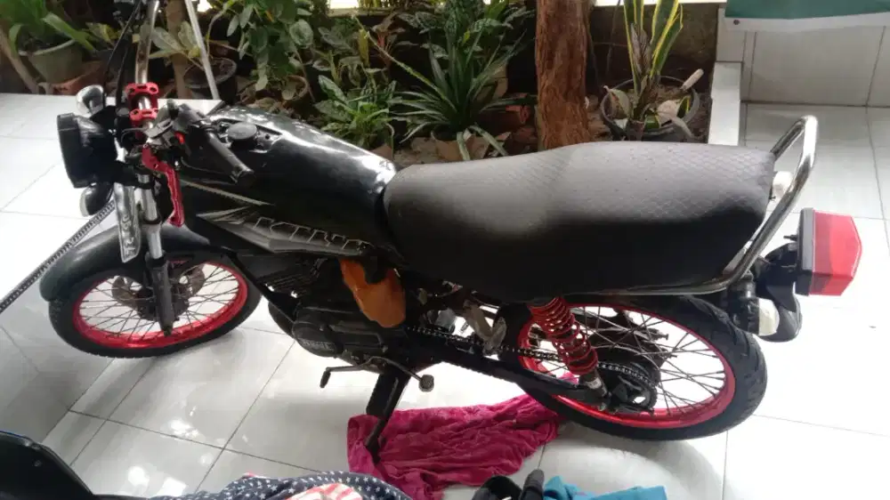 RX king1tipistipisnego