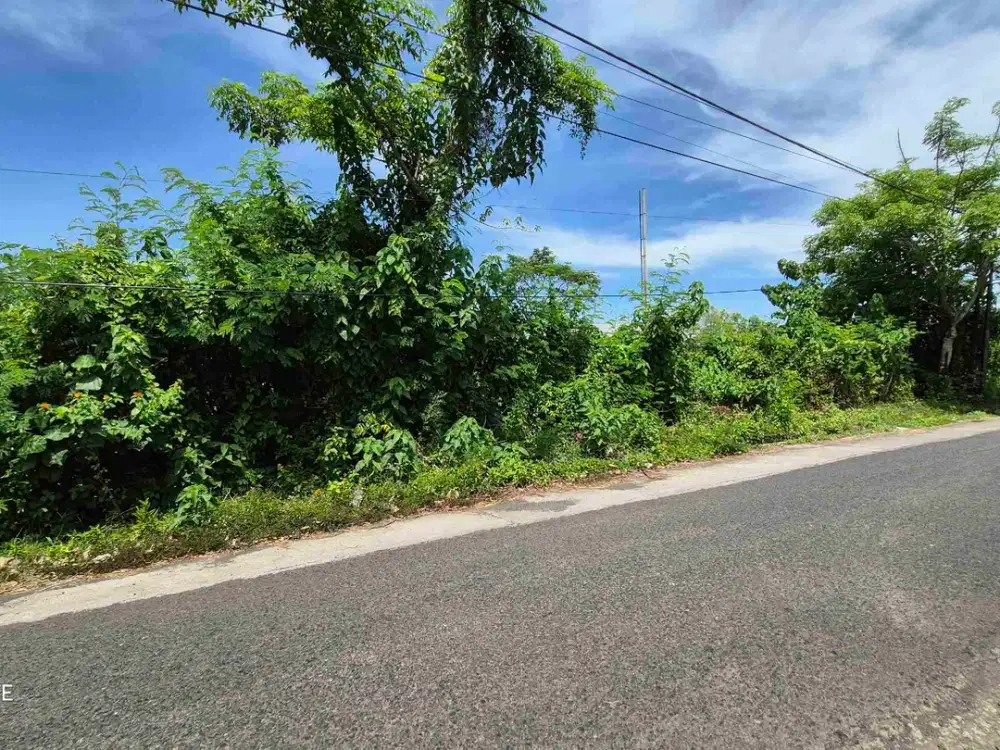 TANAH INDUSTRI 98.6 ARE DI PENGAMBENGAN JEMBRANA BALI