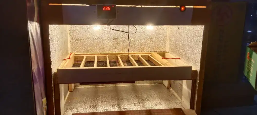 Mesin tetas geser kapasitas 20 smp 30 telor