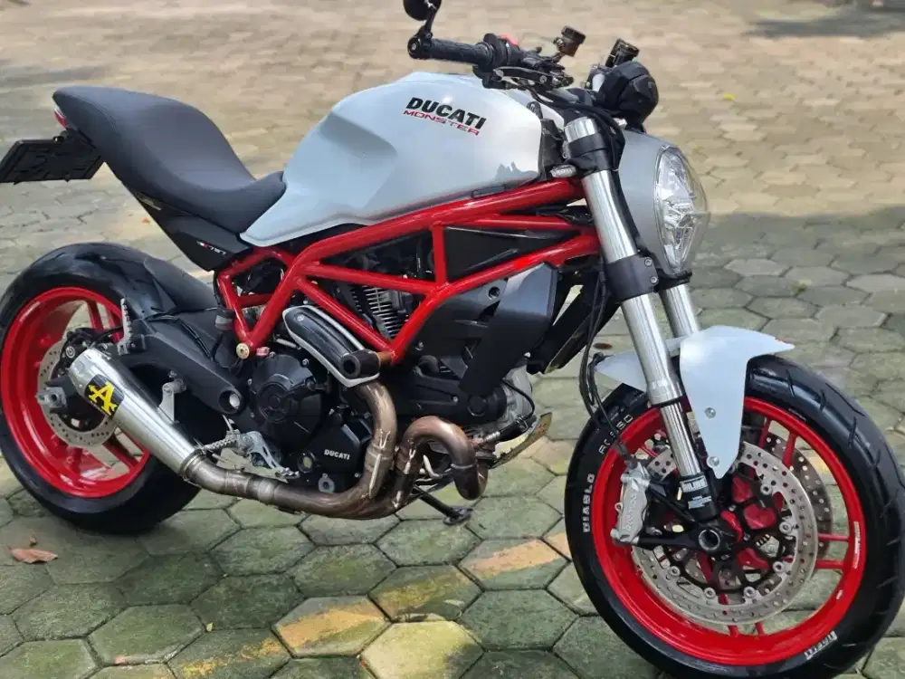 [RARE] Ducati Monster 797 White Doff Texture 2019 edition