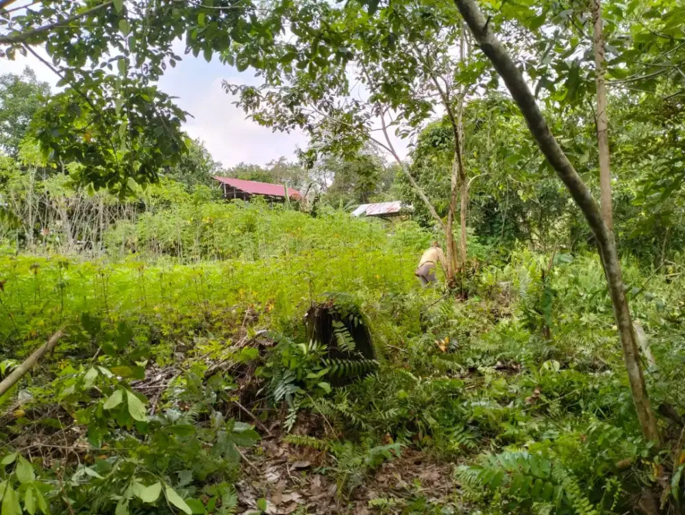 DI JUAL CEPAT TANAH DI BALIKPAPAN