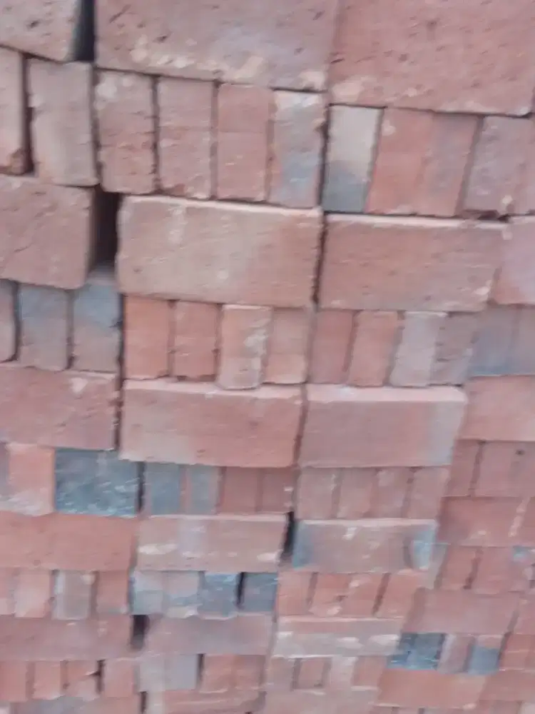 Bata merah berkwallitas