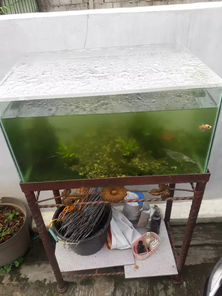 Aquarium dan meja besi