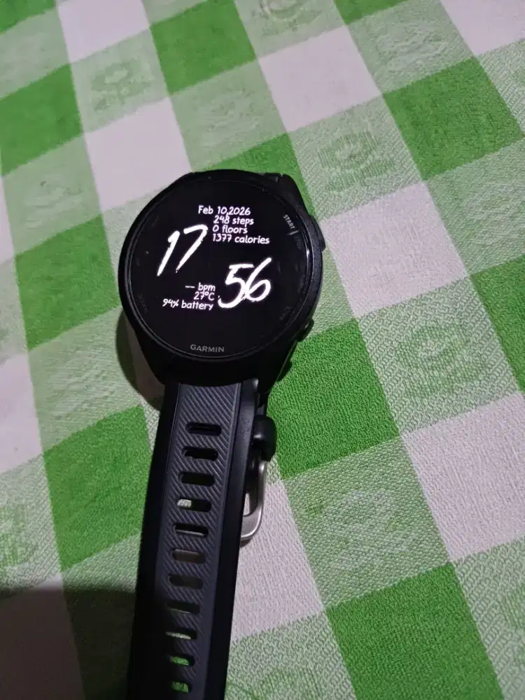 Garmin 165 non musik