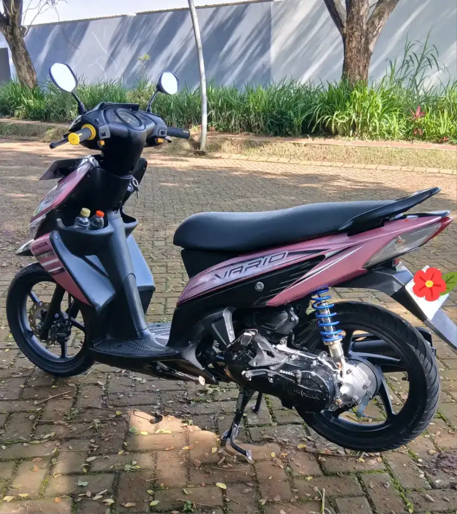 Vario pink 2008 karbu
