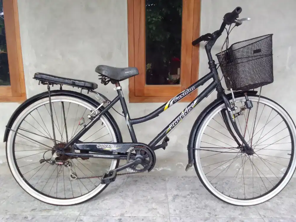 Sepeda keranjang 26