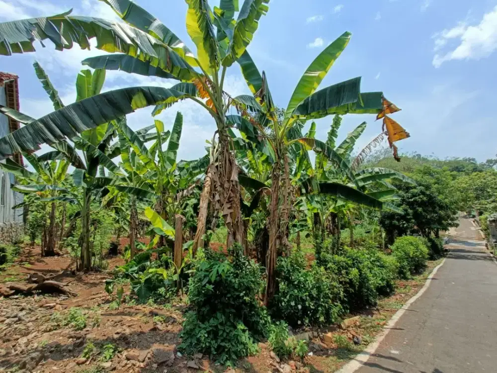 Tanah Siap bangun daerah Mijen semarang - 10701