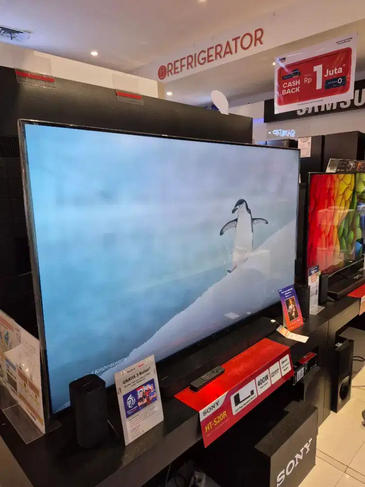 SONY GOOGLE TV 65INCH PROMO