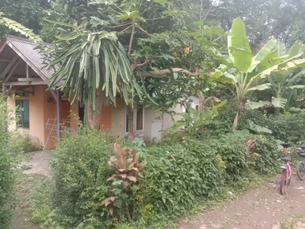 jual tanah berikut rumah luas dan murah