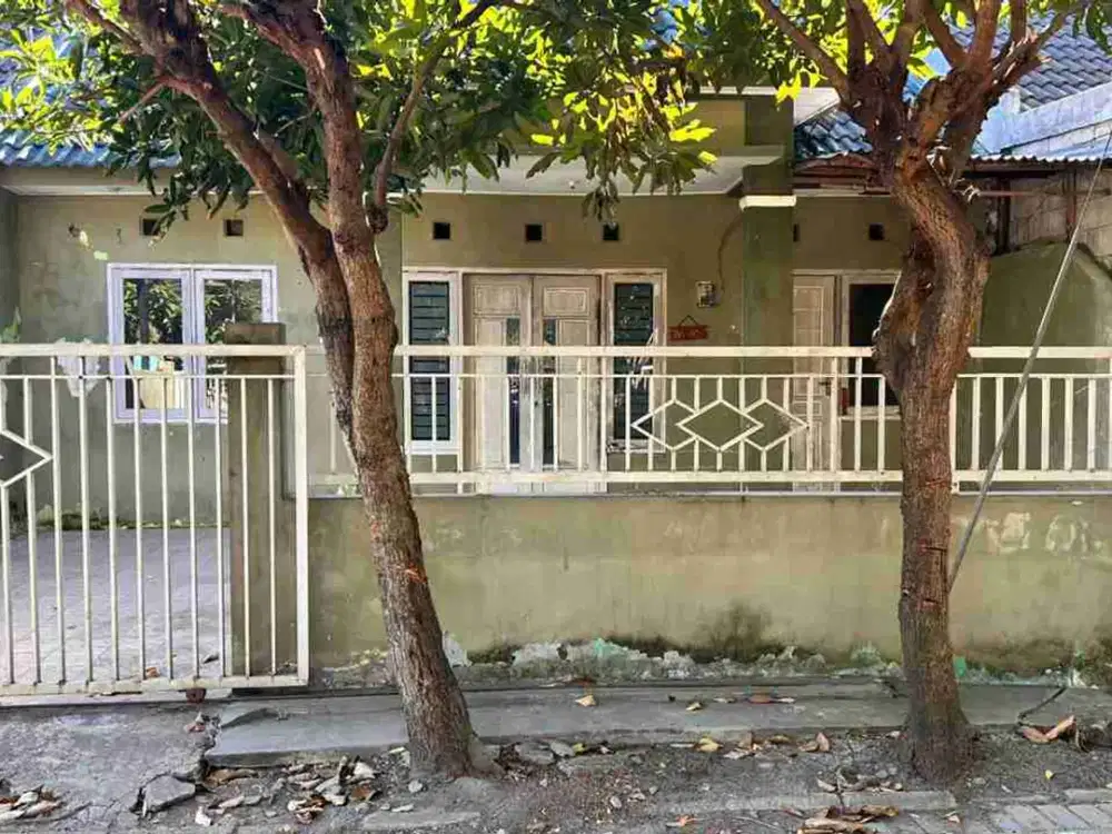DIJUAL RUMAH 

KEL. : BRINGKANG
KEC  : MENGANTI
KAB  : GRESIK