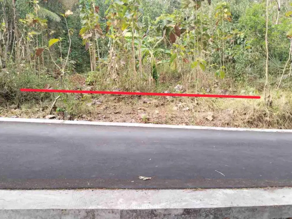 Dijual tanah pekarangan murah 2 muka di donomulyo dekat ke sentolo kulonprogo