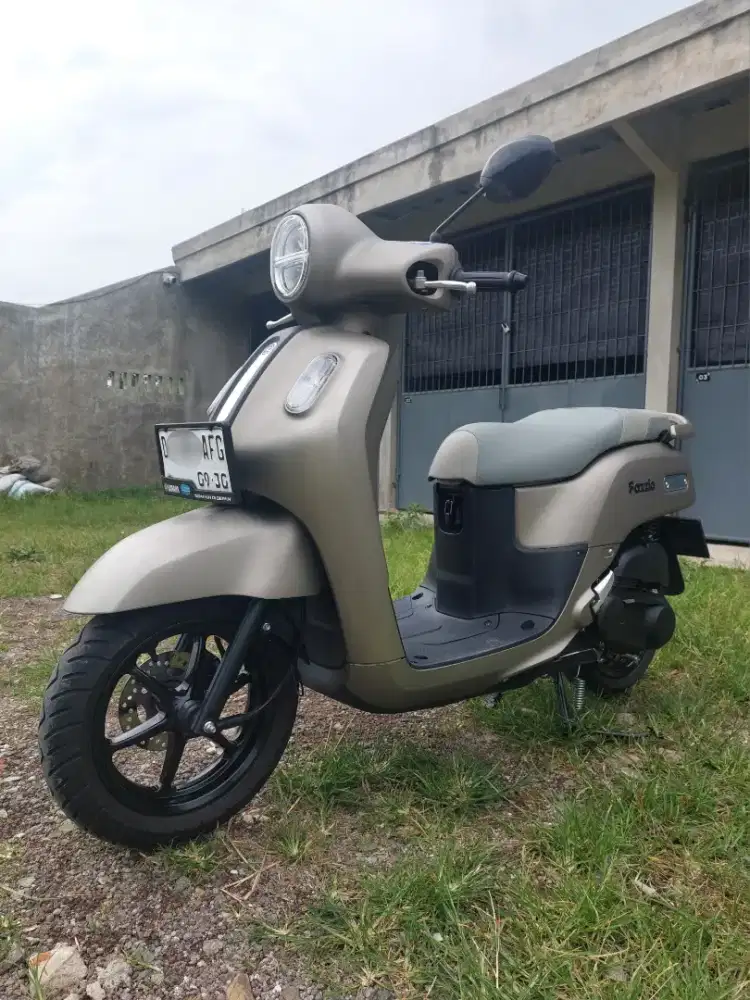 Fazzio Lux Hybrid Titan