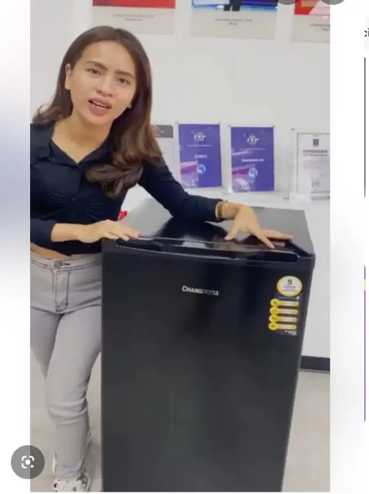 kulkas changhong 1 pintu