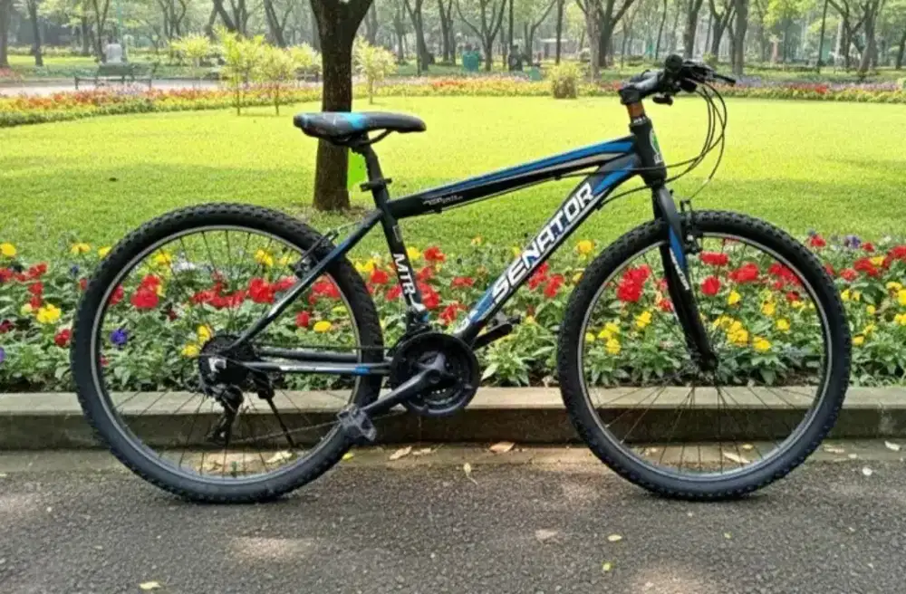 Sepeda senator ukuran 26