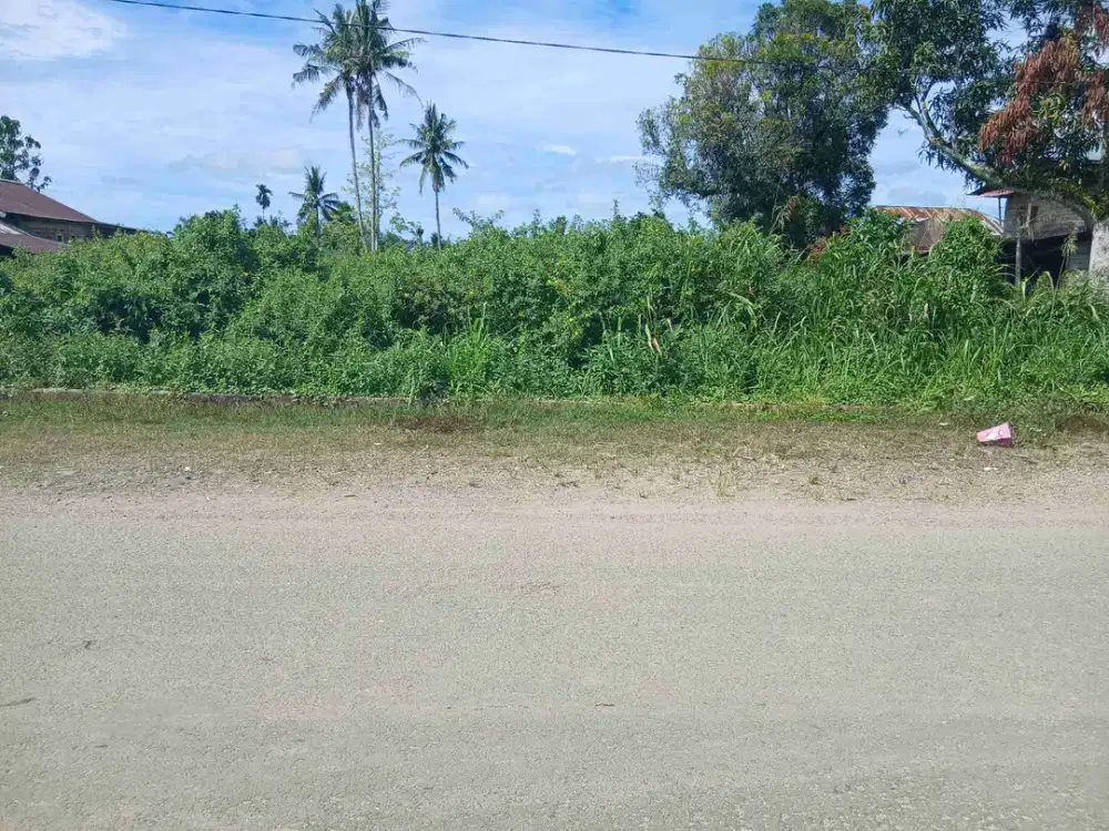 Jual Tanah di Kab.Sorong Aimas Unit 2 Jalan Gambas 25 X 100