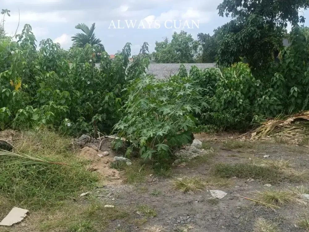 Tanah Murah Arah Ke Pantai Pererenan Dijual