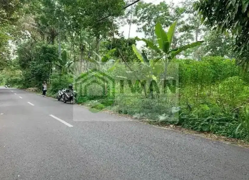 Tanah Murah & Strategis Iklim Sejuk Hadap Jalan Raya Kabupaten