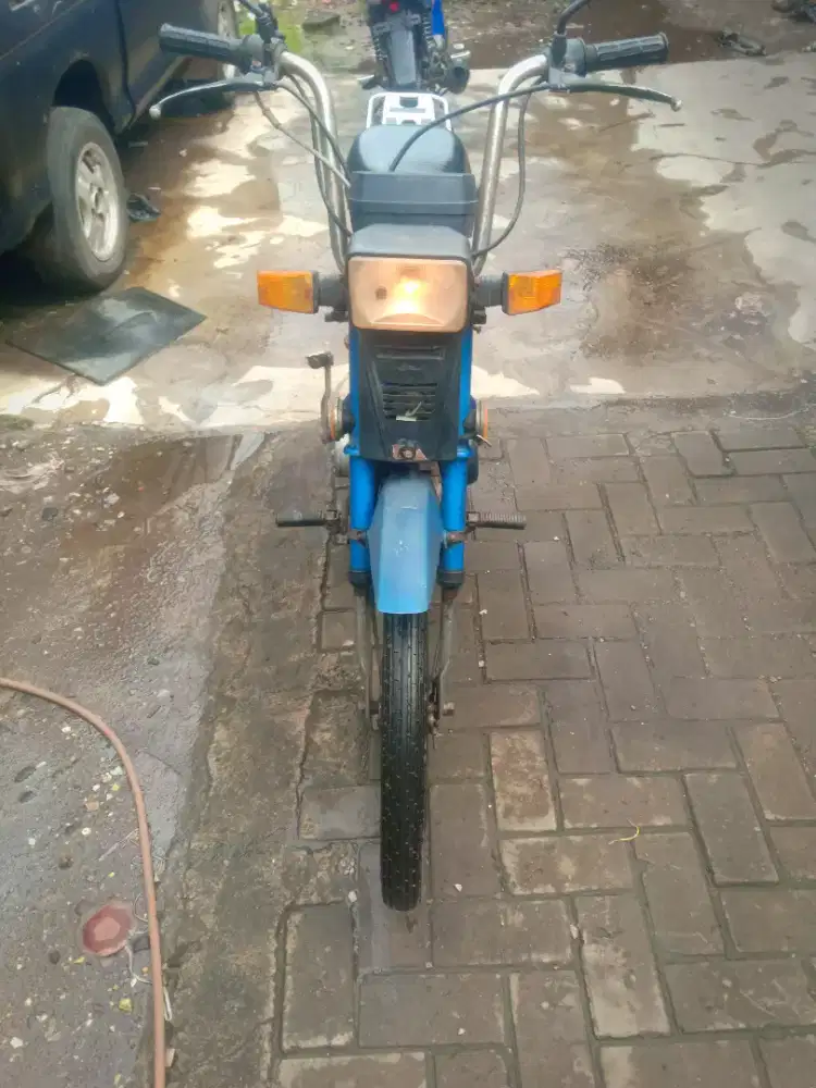 Dayang 50cc nego saja