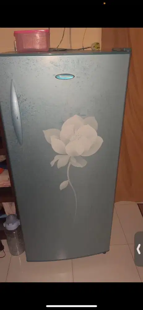 Kulkas pemakaian pribadi