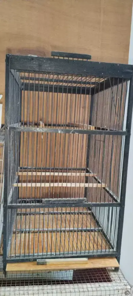 Sangkar burung Murai