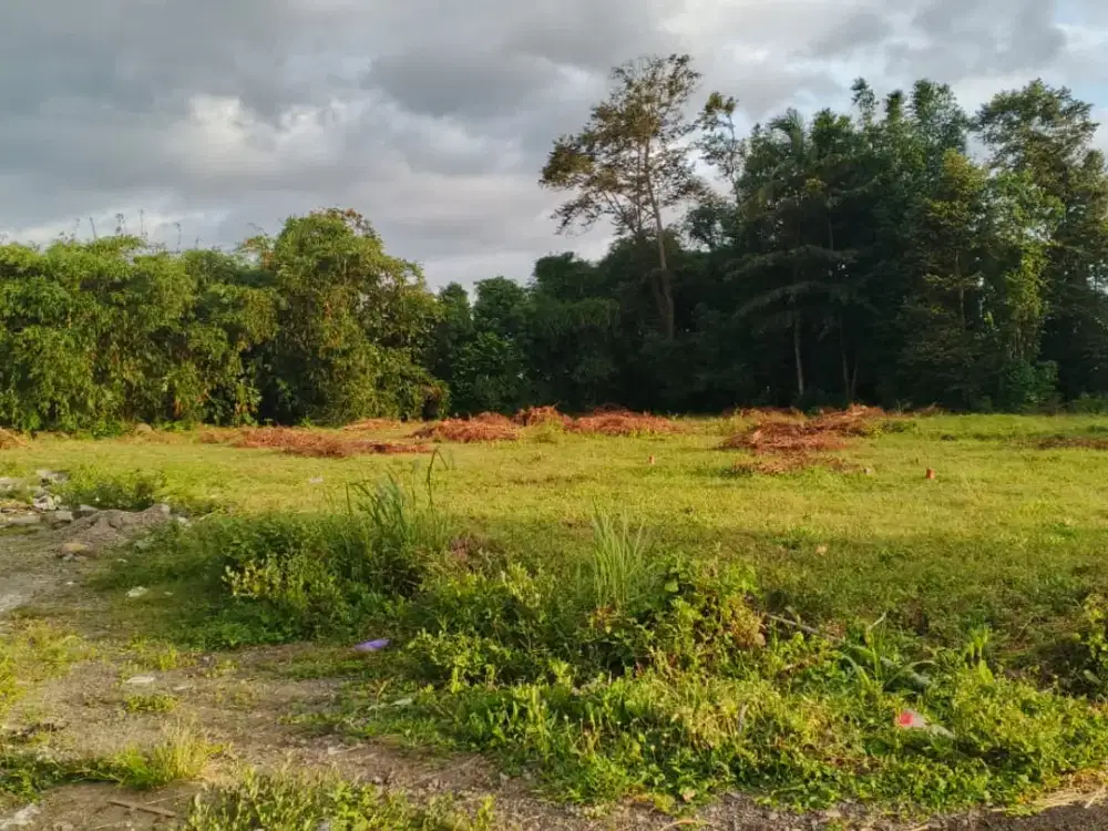 Tanah Purwomartani Kalasan Dekat Dawet Pak Bardi