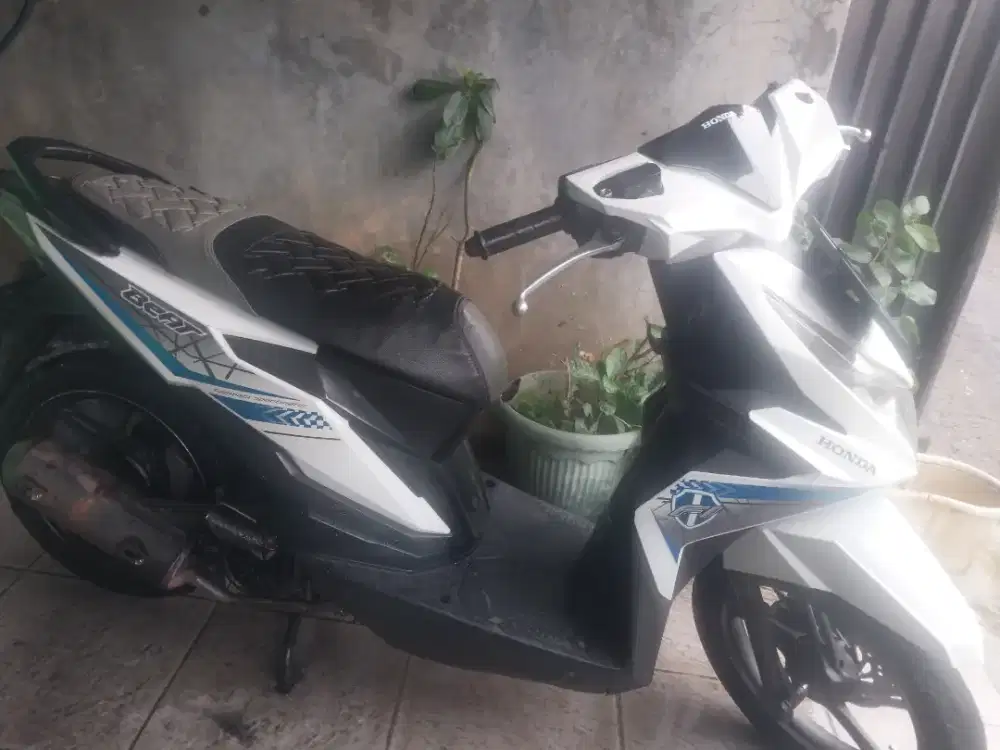 Beat putih wrn favorit