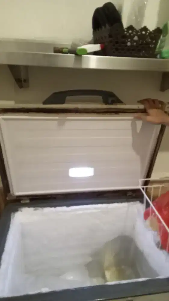 Frizer merk Rsa 200 liter