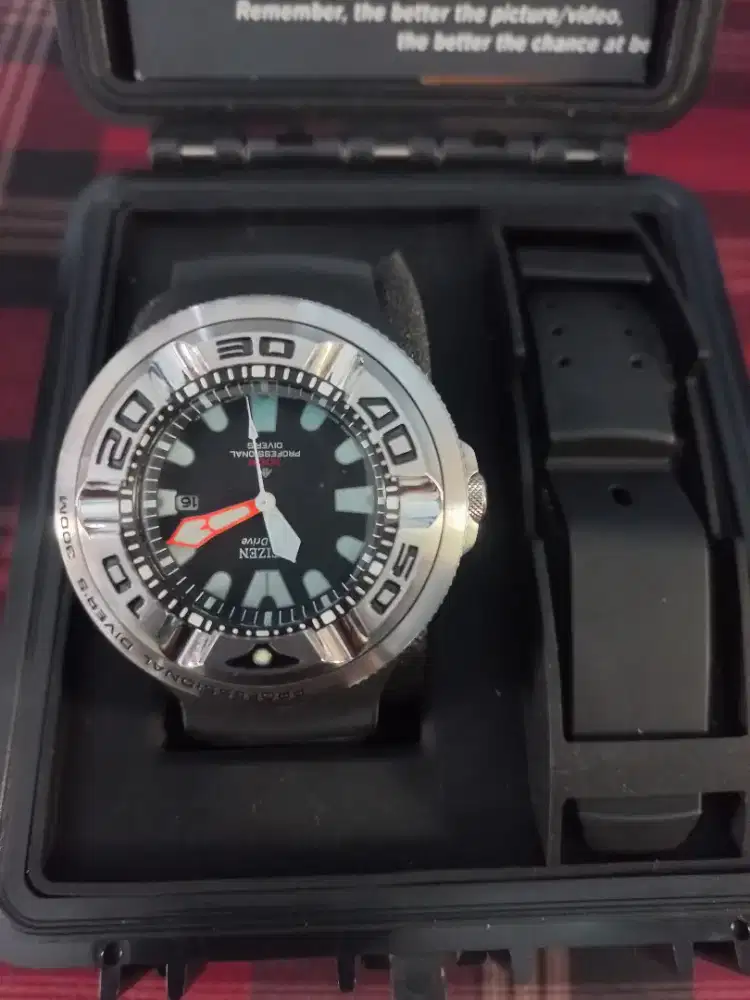 Citizen Promaster Ecozilla