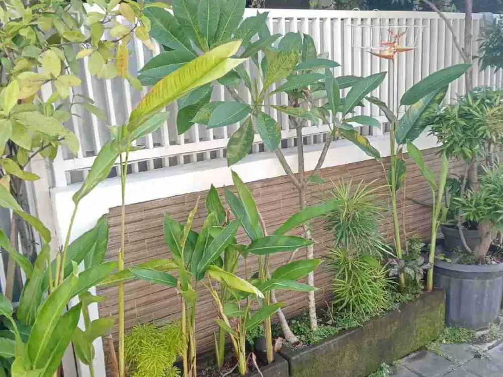 Di jual rumah lantai 2 lokasi Denpasar Selatan