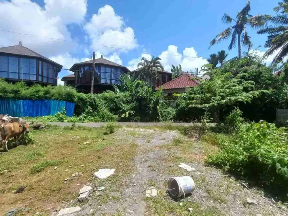 dijual tanah komersil  pererenan