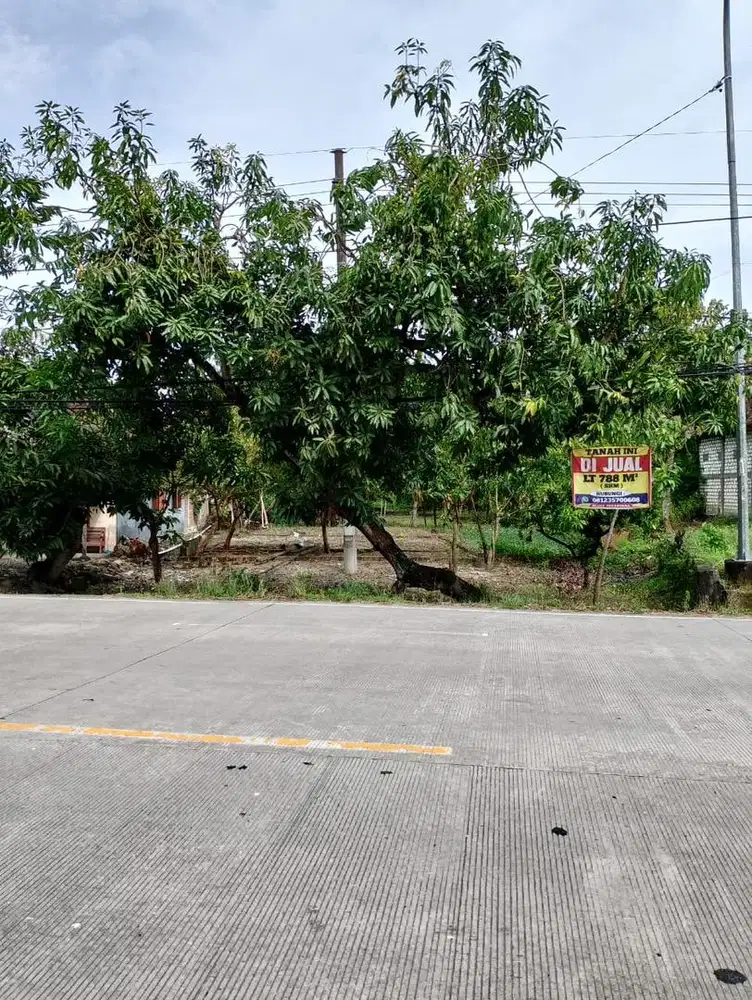 Jual Tanah 788M2 Lokasi Strategis Jalan Raya Ngawi-Bojonegoro