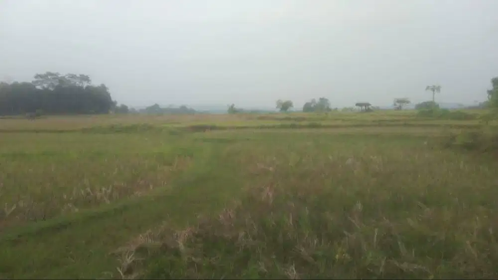 Dijual Tanah Datar bebas sengketa di Karawang Barat Bebas Banjir