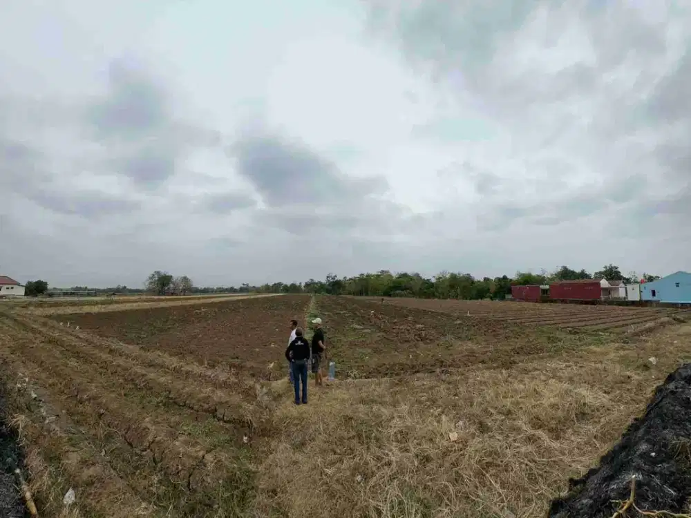 Dijual Tanah Matang Siap Bangun Jl. Jatibarang Kadipaten Kab. Majalemgka. Luas. 6.950 (39 × 192m)