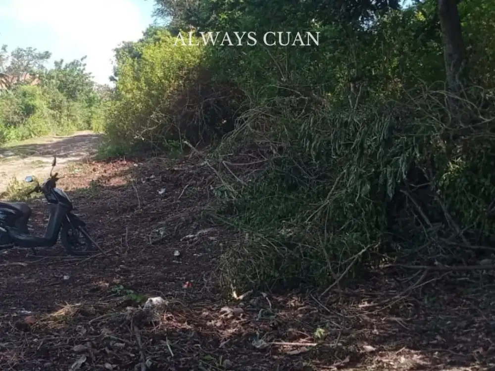 Tanah Datar Siap Bangun Lokasi Jimbaran Dekat Kampus Unud