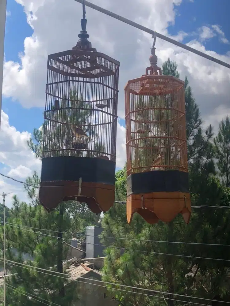 Kandang burung branjangan