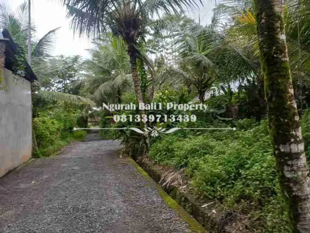 Dijual Tanah Murah Luas 407 m2 Kawasan Villa di Pejeng Kangin Ubud