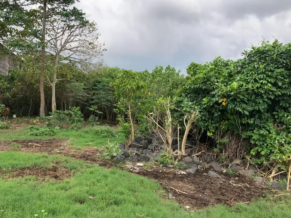 Freehold - Rare Opportunity! Land in commercial located in Ubung Kaja, Denpasar Utara, Bali