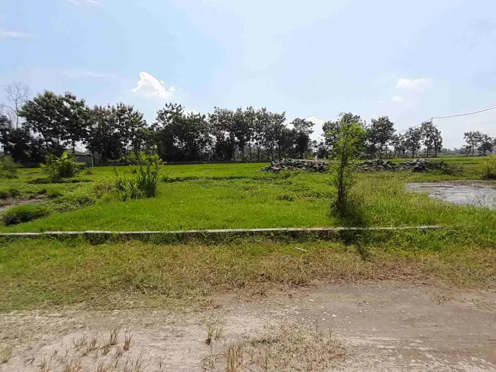 Tanah Murah Dijual Solo di Buran  tasikmadu Karanganyar