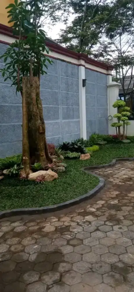 Jasa spesial taman dan kolam