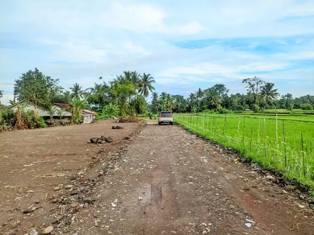 Tanah SHM Pandowoharjo Timur Jl. Magelang