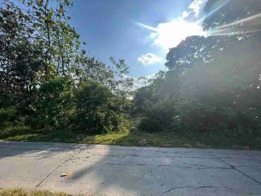 tanah murah siap bangun dekat kantor kelurahan Tegalgiri Nogosari