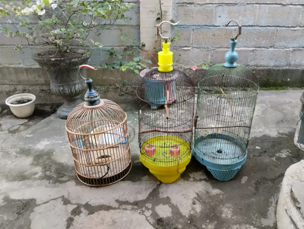 Sangkar burung layak pakai murah meriah