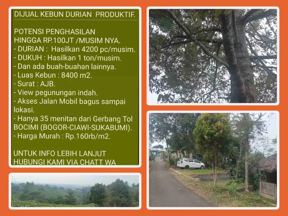 Investasi Kebun Durian Produktif 8.400 m² di Parakansalak-Sukabumi.
