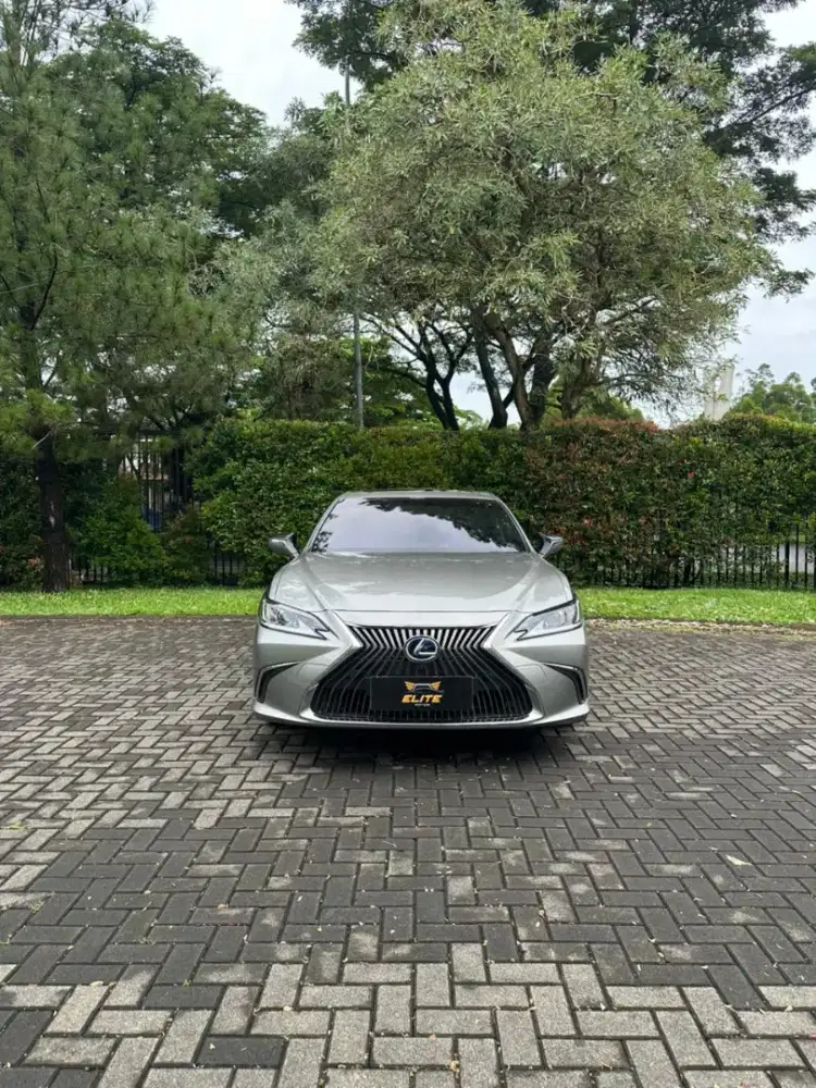 Lexus ES300h Ultra Luxury Sedan 2020