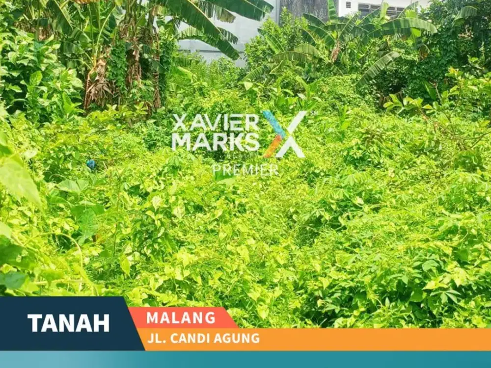 Dijual Tanah Cocok Untuk Usaha Kos Candi Mendut Malang Dekat Kampus