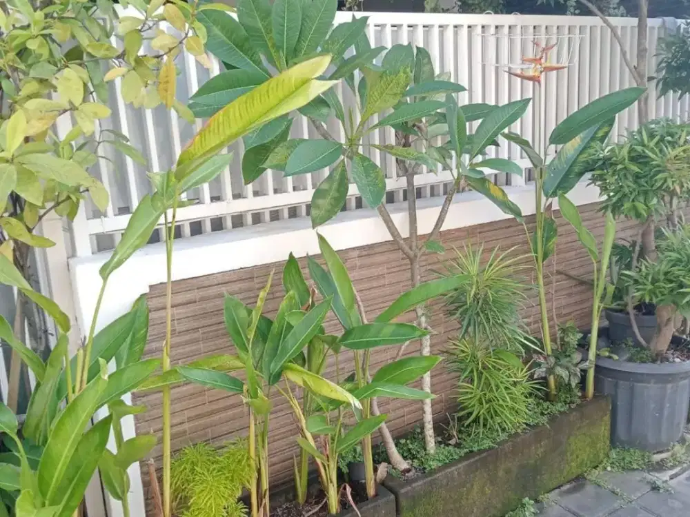 Jual Rumah Di Denpasar Selatan Dekat Ke Sesetan, RS Sanglah,Panjer, Renon, Dll.