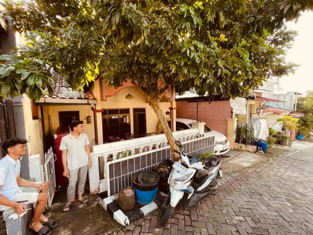 Rumah eropa blasteran meksiko