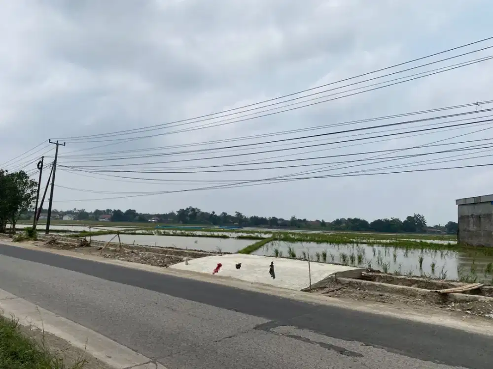 Dijual Tanah Luas dan Strategis Pinggir Jalan di Karawang