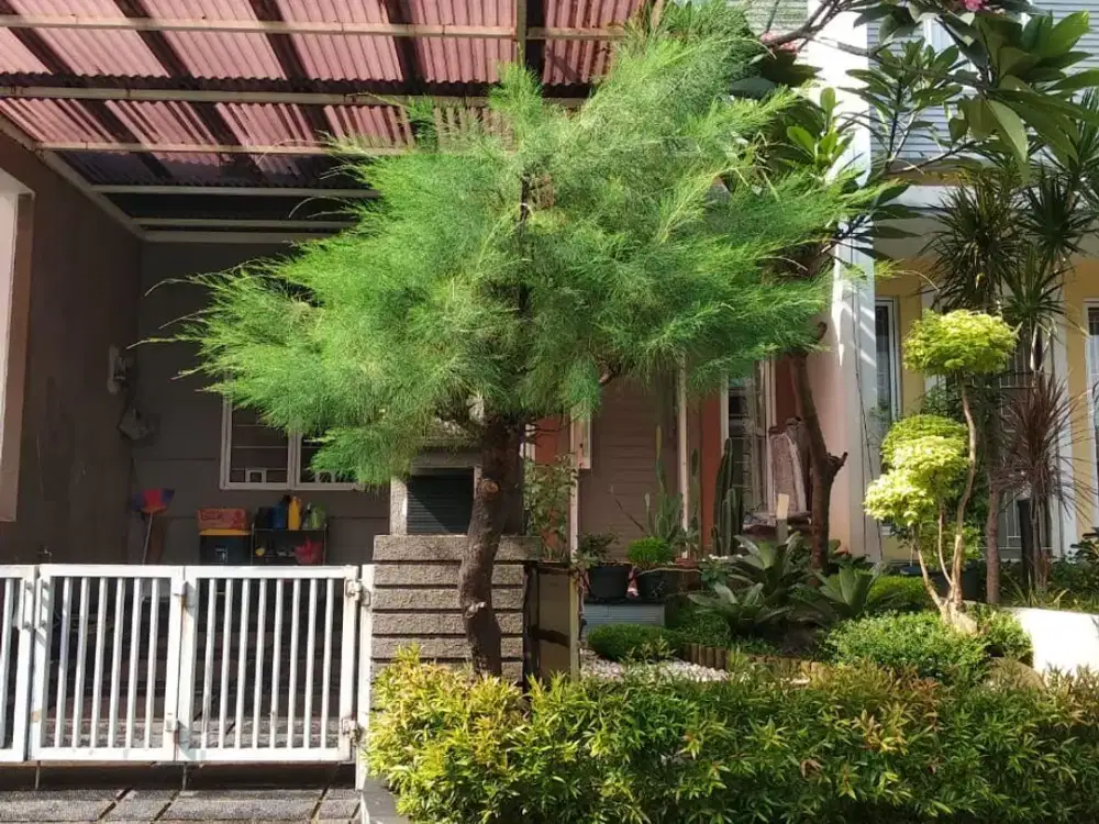 Disewakan rumah rapi tinggal bawa koper di kelapa gading JAKUT